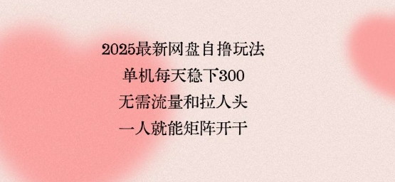 2025最新网盘自撸玩法，单机每天稳下3张，无需流量和拉人头，一个人就可轻松矩阵，全网独一份【揭秘】-萤火网创