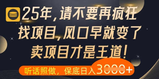 什么？25年你还在疯狂找项目做，醒醒吧，看完这些你全都懂了【揭秘】-萤火网创