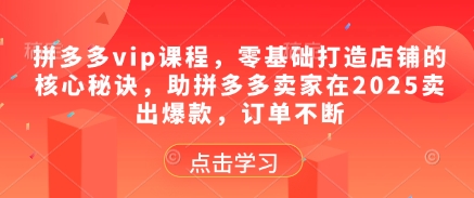 拼多多vip课程，零基础打造店铺的核心秘诀，助拼多多卖家在2025卖出爆款，订单不断-萤火网创