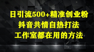 日引流500+精准创业粉，抖音共情自热打法，工作室都在用的方法-萤火网创