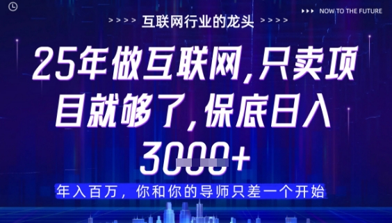 什么！25年你还在找项目做？风口早就变了，卖项目才是稳挣不赔【揭秘】-萤火网创