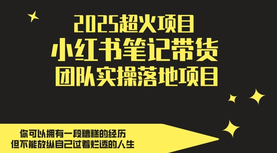 2025超火项目，副业最佳选择，小红书笔记带货团队实操落地项目，，轻松日入5张-萤火网创