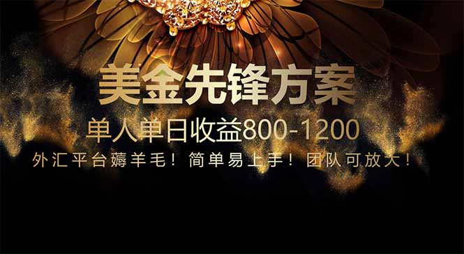 免费技术！小众赛道！一年布局抵三年努力，每日800+-萤火网创