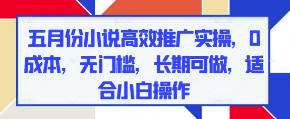 五月份小说高效推广实操，0成本，无门槛，长期可做，适合小白操作-萤火网创