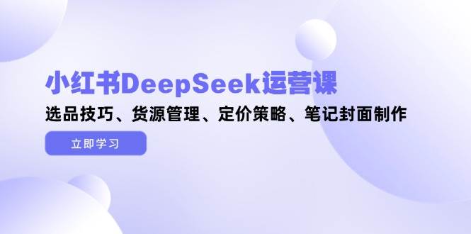 小红书DeepSeek运营课，选品技巧、货源管理、定价策略、笔记封面制作-萤火网创