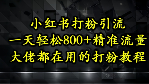 小红书打粉引流，一天轻松500+精准流量，大佬都在用的打粉教程-萤火网创