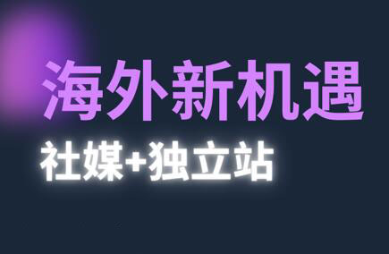 棕榈·2025出海新机遇(社媒+独立站)-萤火网创