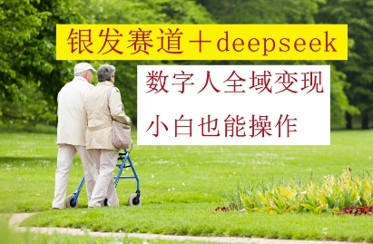 银发赛道+deepseek数字人全域变现，小白也能操作-萤火网创