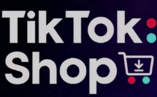 TikTokShop跨境电商0-1实战，手把手教你低成本启动海外市场(更新)-萤火网创
