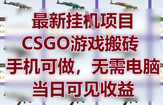最新挂G项目，CSGO游戏搬砖，手机可做，无需电脑，当日见收益【揭秘】-萤火网创
