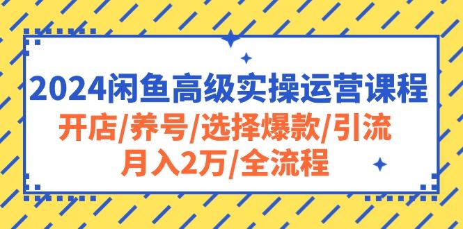 2024闲鱼高级实操运营课程：开店/养号/选择爆款/引流/月入2万/全流程-萤火网创