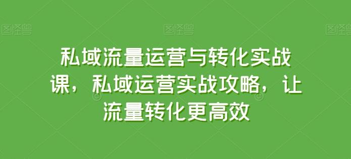 私域流量运营与转化实战课，私域运营实战攻略，让流量转化更高效-萤火网创