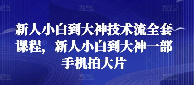 新人小白到大神技术流全套课程，新人小白到大神一部手机拍大片-萤火网创