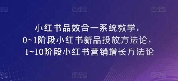 小红书品效合一系统教学，​0~1阶段小红书新品投放方法论，​1~10阶段小红书营销增长方法论-萤火网创