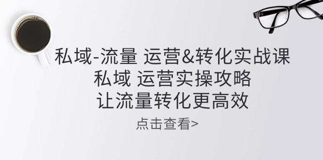 私域-流量 运营&转化实操课：私域 运营实操攻略 让流量转化更高效-萤火网创