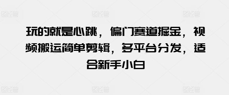 玩的就是心跳，偏门赛道掘金，视频搬运简单剪辑，多平台分发，适合新手小白【揭秘】-萤火网创