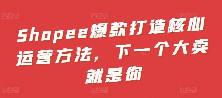 Shopee爆款打造核心运营方法，下一个大卖就是你-萤火网创