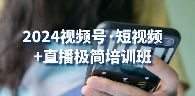 2024视频号·短视频+直播极简培训班：抓住视频号风口，流量红利-萤火网创