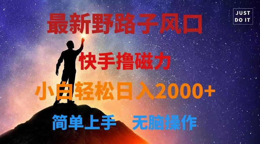 最新风口！快手撸磁力，野路子，小白无脑操作日入2000+-萤火网创