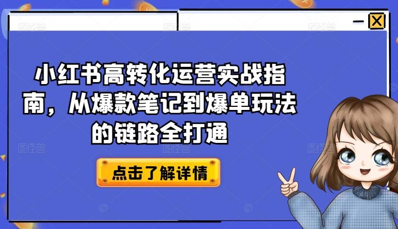 小红书高转化运营实战指南，从爆款笔记到爆单玩法的链路全打通-萤火网创