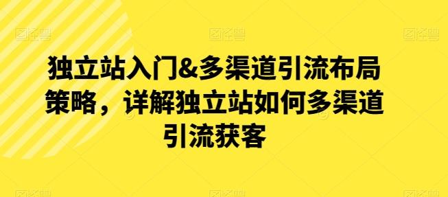 独立站入门&多渠道引流布局策略，详解独立站如何多渠道引流获客-萤火网创
