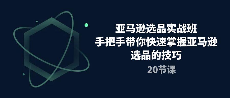 亚马逊选品实战班，手把手带你快速掌握亚马逊选品的技巧(20节课-萤火网创
