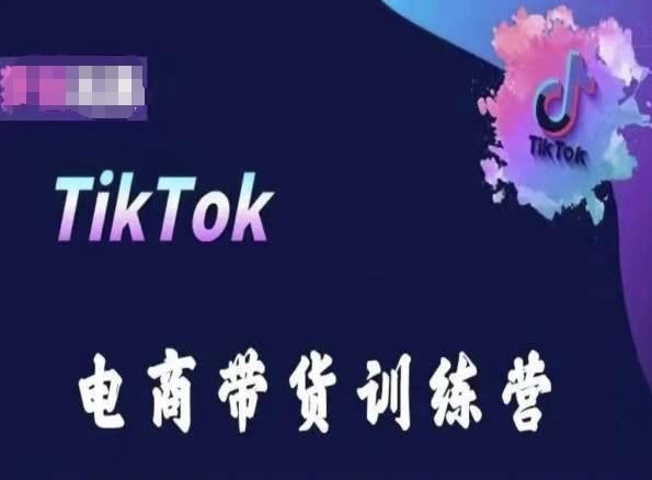 TikTok电商带货训练营，跟随时代潮流，跨境掘金-萤火网创