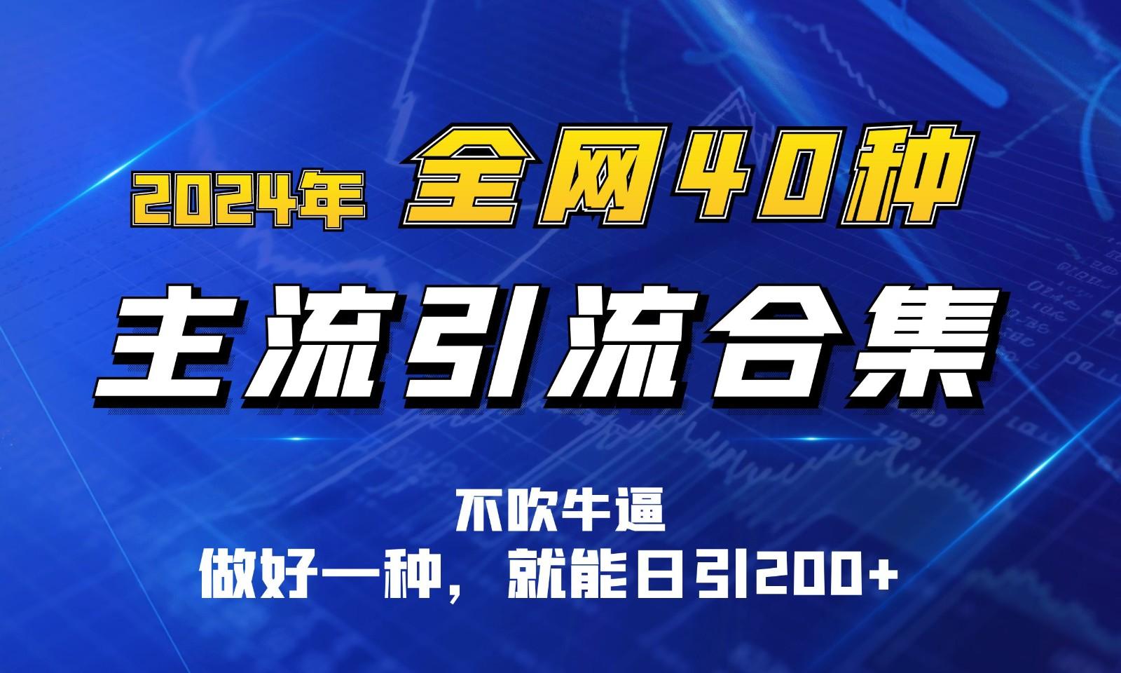 2024年全网40种暴力引流合计，做好一样就能日引100+-萤火网创