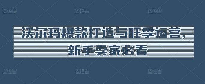 沃尔玛爆款打造与旺季运营，新手卖家必看-萤火网创