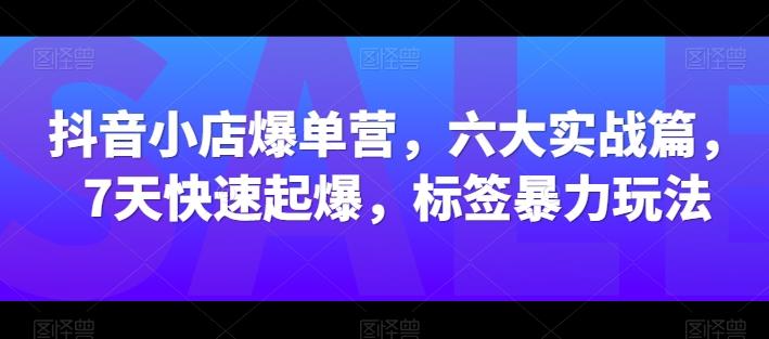 抖音小店爆单营，六大实战篇，7天快速起爆，标签暴力玩法-萤火网创