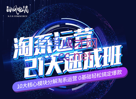 淘系运营21天速成班(更新24年5月)-萤火网创