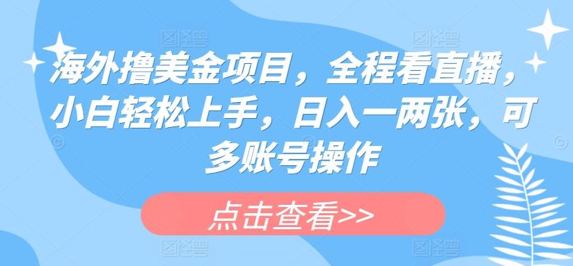 海外撸美金项目，全程看直播，小白轻松上手，日入一两张，可多账号操作【揭秘】-萤火网创