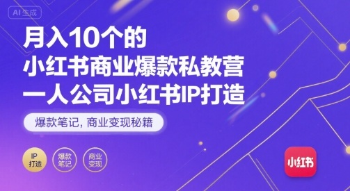 月入10个的小红书商业爆款私教营，一人公司小红书IP打造，爆款笔记，商业变现秘籍-萤火网创