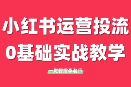李老师·小红书运营投流，0基础实战教学(更新)-萤火网创