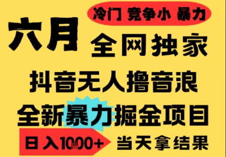 25年6月高爆抖音无人直播最新撸音浪掘金项目，小白可做，无脑日入1k+，门槛低可批量矩阵【揭秘】-萤火网创