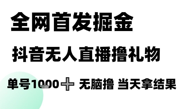 全网首发掘金抖音无人直播撸礼物，单号1k +无脑撸，当天拿结果【揭秘】-萤火网创