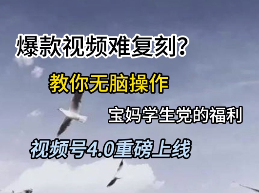 视频号4.0重磅上线，爆款视频难复刻？教你无脑操作宝妈学生党的福利【揭秘】-萤火网创
