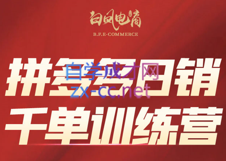 白凤电商·拼多多日销千单训练营(更新8月)-萤火网创