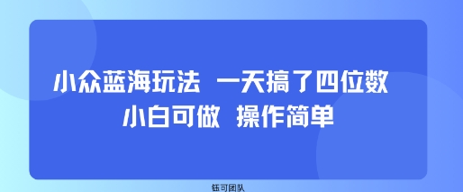小众蓝海玩法 一天搞了四位数 小白可做 操作简单-萤火网创