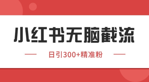 小红书截流同行客源，独家野路子获客玩法 日引200+暴力获客【揭秘】-萤火网创