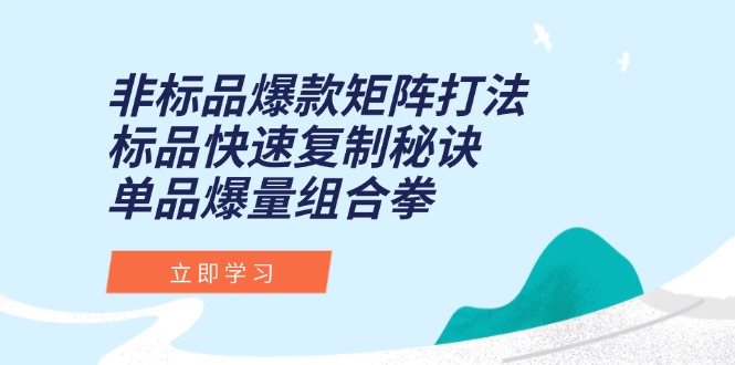 非标品爆款矩阵打法，标品快速复制秘诀，单品爆量组合拳-萤火网创