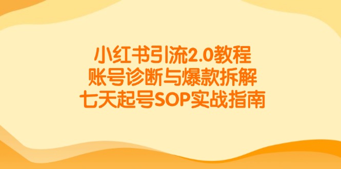 小红书引流2.0教程，账号诊断与爆款拆解，七天起号SOP实战指南-萤火网创