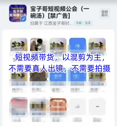宝子哥头部团队短视频带货，以混剪为主，不需要真人出镜，不需要拍摄【更新】-萤火网创
