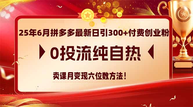 25年6月拼多多最新日引300+付费创业粉，0投流纯自热 卖课月变现六位数方法-萤火网创