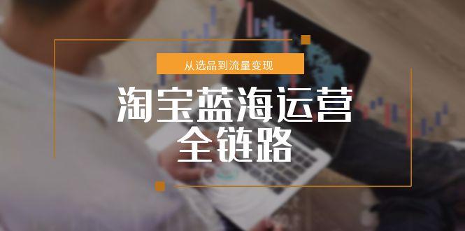 淘宝蓝海运营全链路，从选品到流量变现，小类目突围完整方案-萤火网创