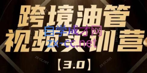 阿蔺Leo·跨境油管视频YouTube实训营(更新2025)-萤火网创