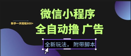 微信小程序全自动撸广告项目，彻底解决没流量的问题，新手一天8张+【揭秘】-萤火网创