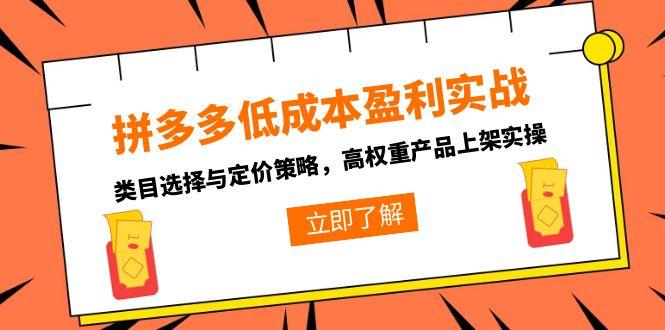 拼多多低成本盈利实战，类目选择与定价策略，高权重产品上架实操-萤火网创