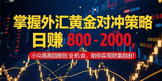 掌握外汇黄金对冲策略，日赚 800 – 2000，小众高回报创业机会，助你实…-萤火网创
