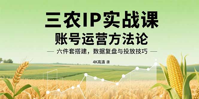 三农IP实战课：账号运营方法论，六件套搭建，数据复盘与投放技巧-萤火网创